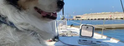 boat image 1