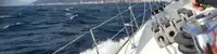 boat image 3