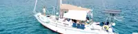 boat image 3