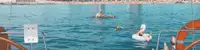 boat image 2