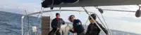 boat image 2