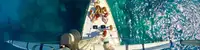 boat image 2