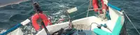 boat image 3