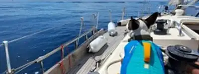 boat image 0