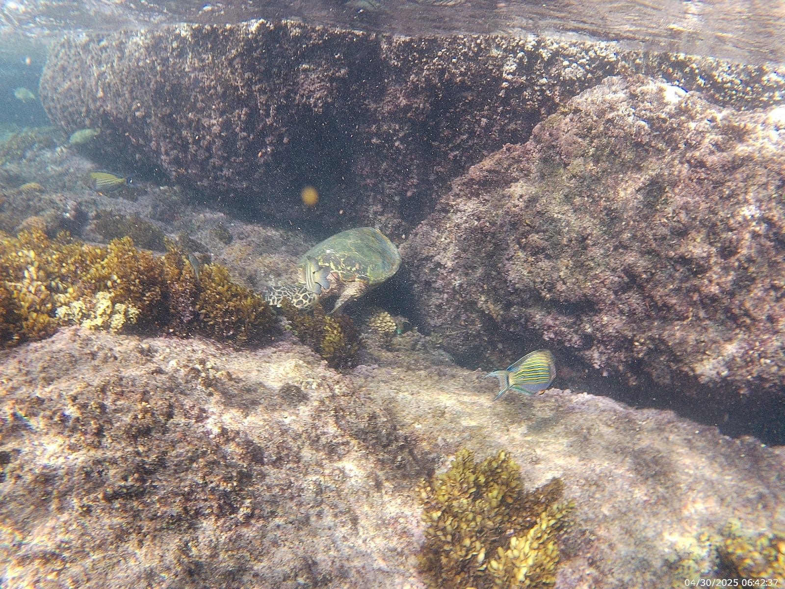 experience image 2