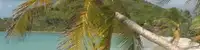 experience image 2
