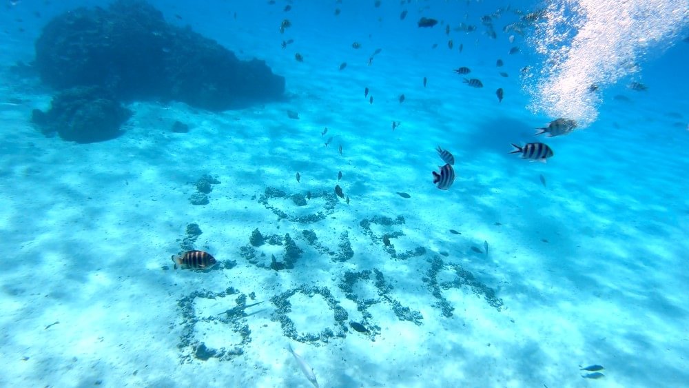 Day 8 - Tahaa/Raiatea