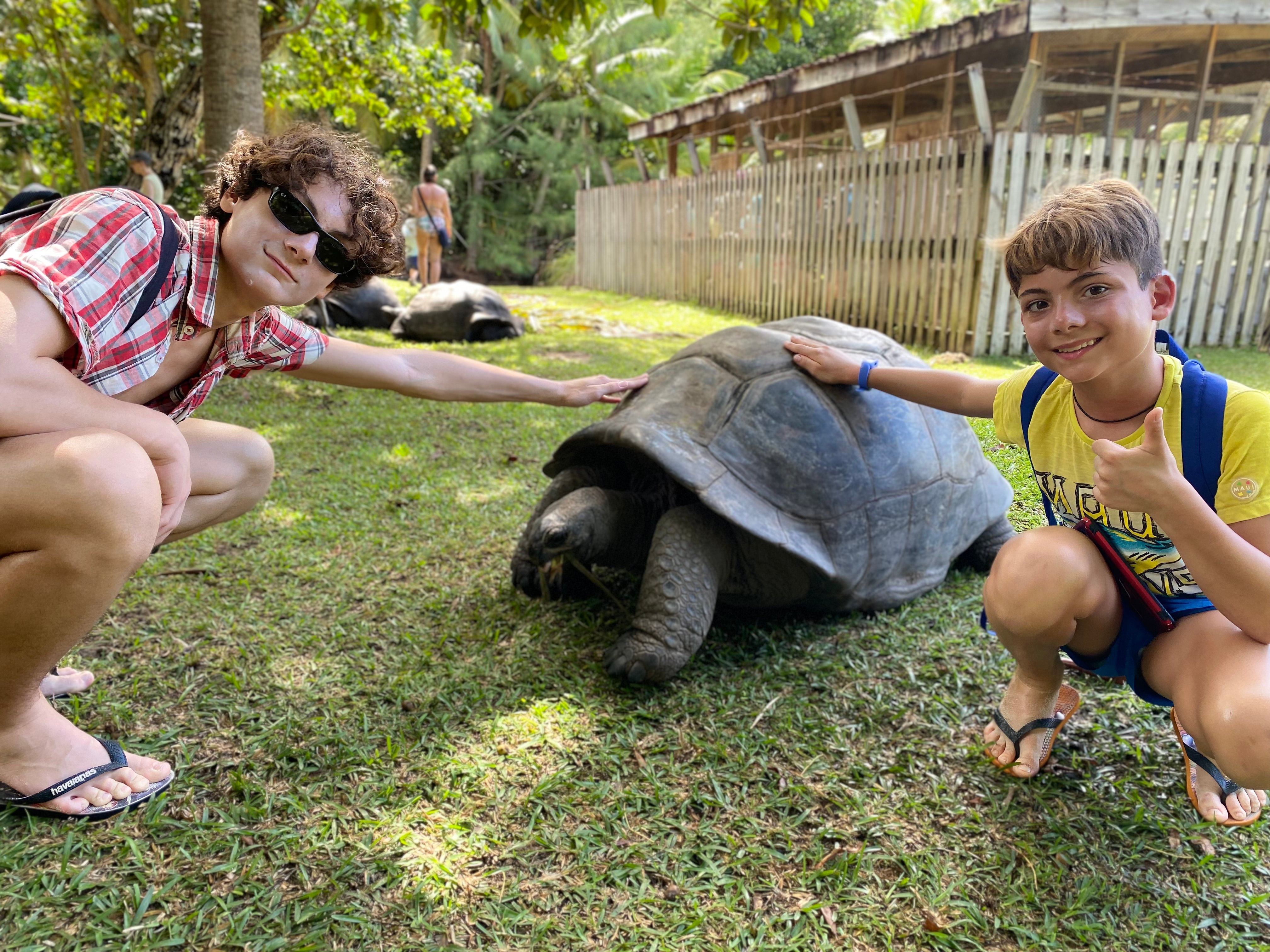 Curieuse, giant tortoises