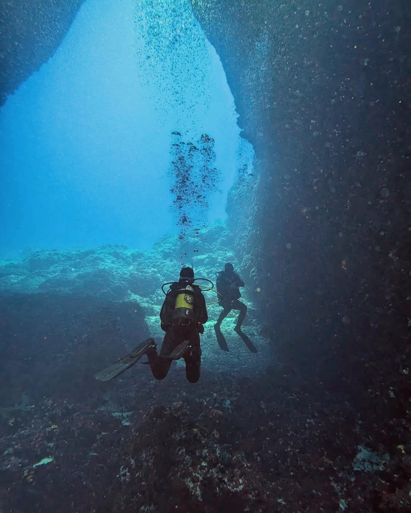 Plongée et voile sur le récif