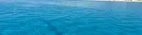 experience image 2