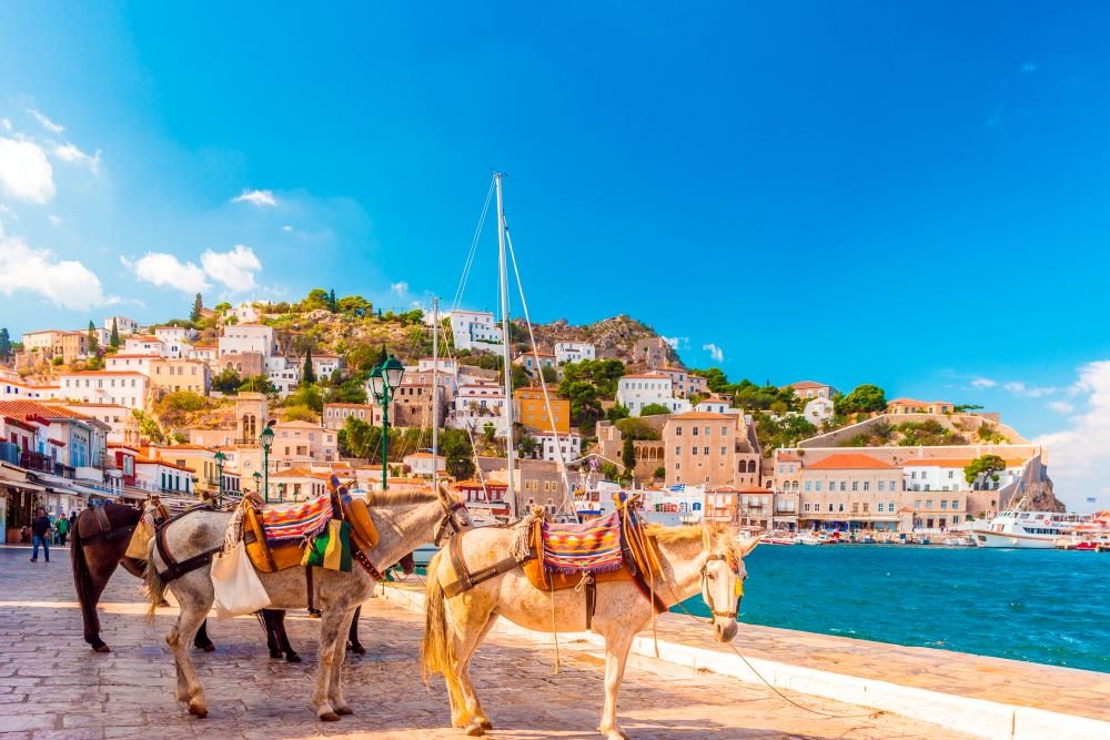 DAY 2 - Mandraki Hydra