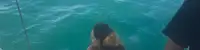 experience image 3