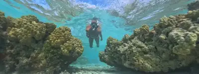 experience image 1