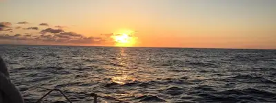 experience image 1
