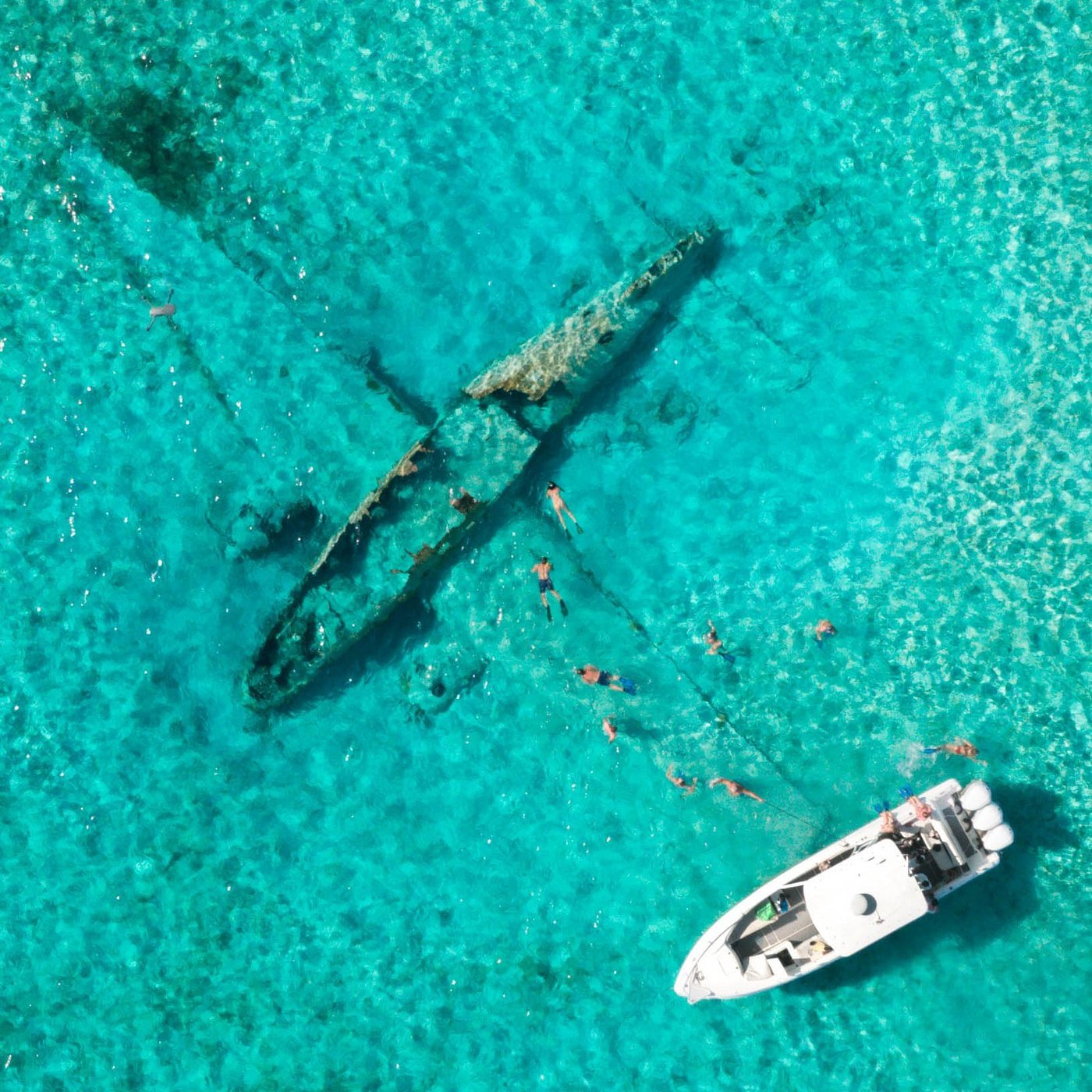 Requins et épaves à Soldier Cay