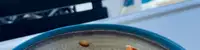 experience image 3