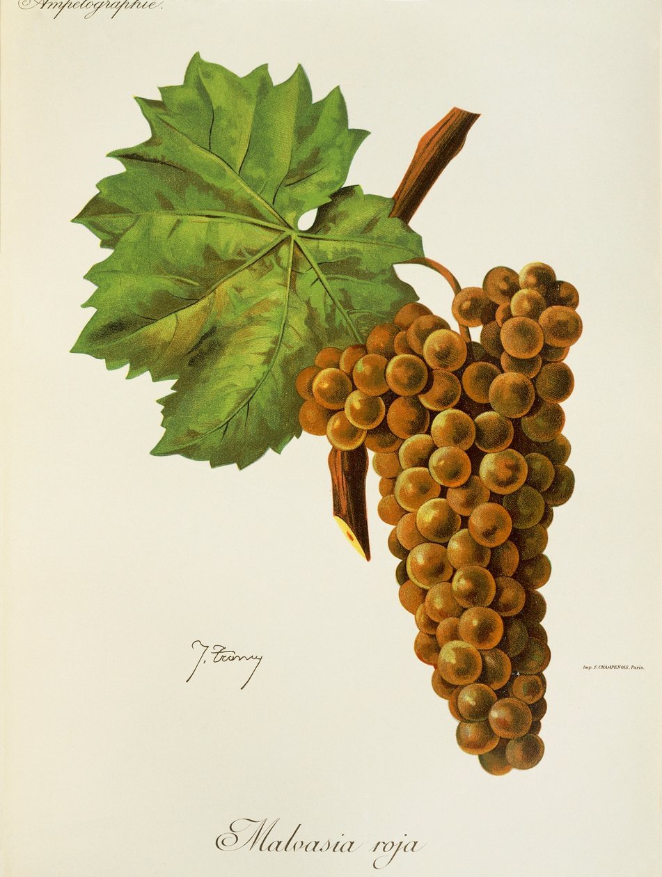 Friday-Wine Treasury