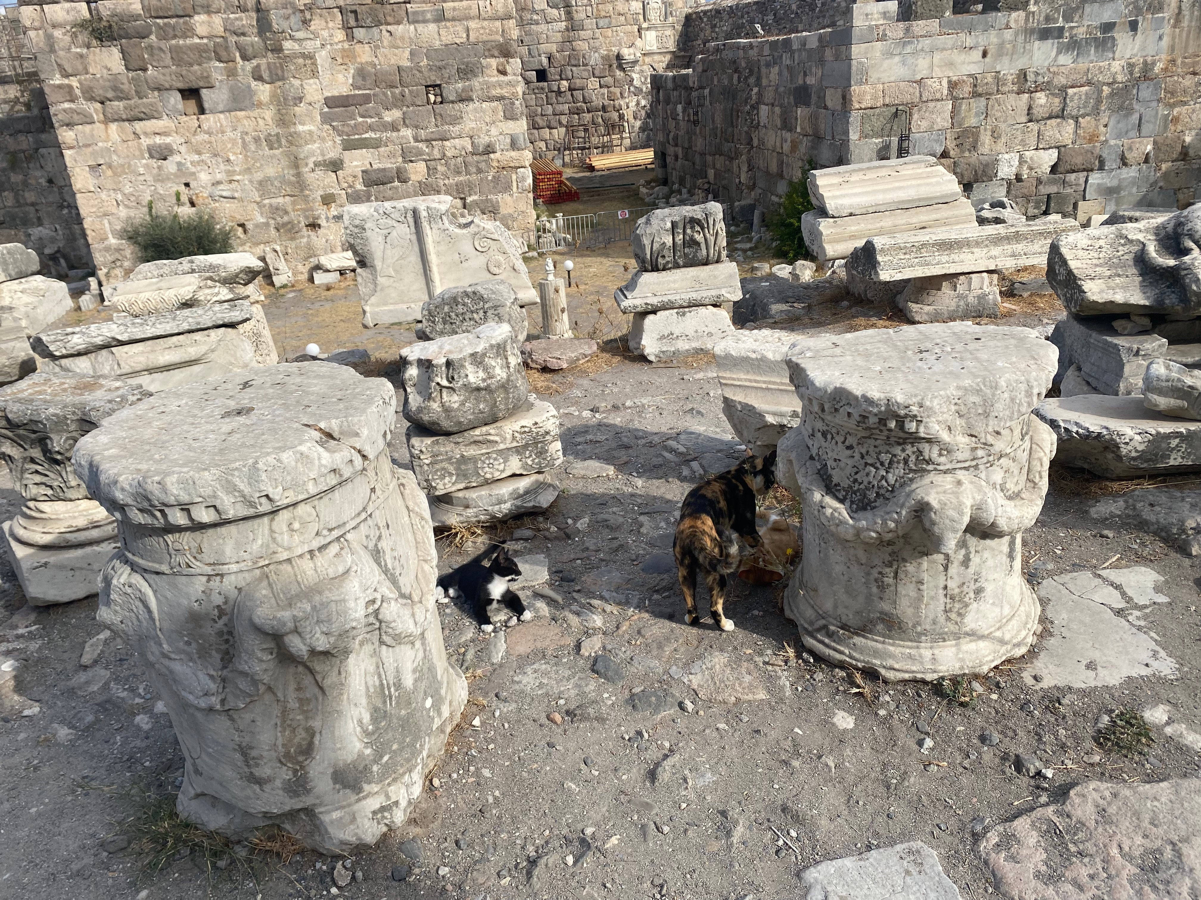 Viernes: Desembarco en la ciudad de Kos