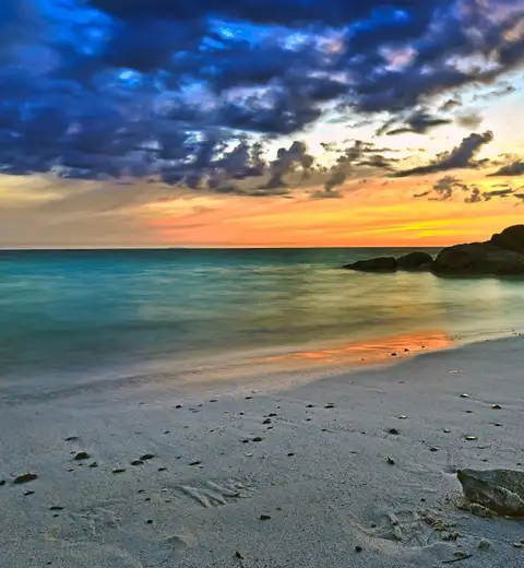 header cover