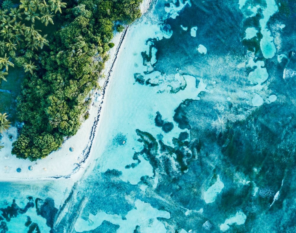 Giorno 2 – Dominica