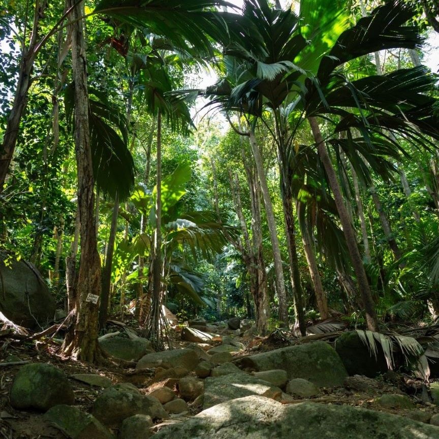 Day 4 La Digue - Cousin