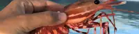 experience image 3