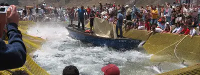 experience image 1