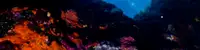 experience image 2