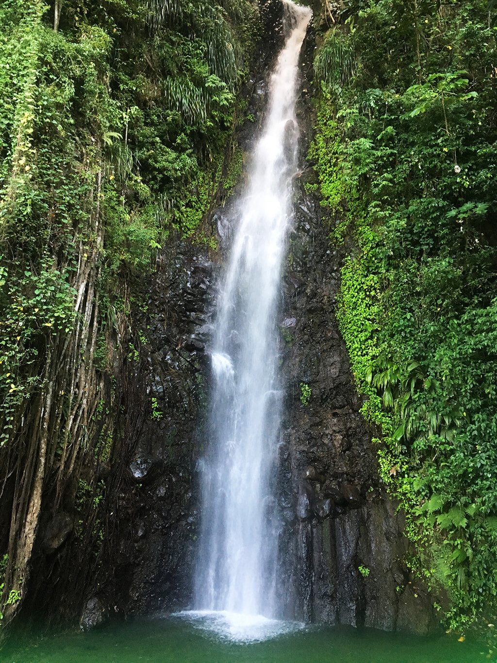 experience image 3