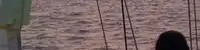 experience image 3