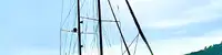 experience image 2