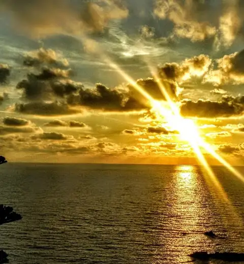 header cover