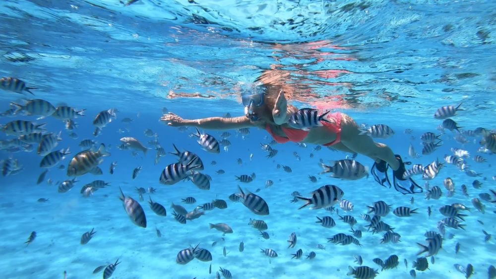 Day 4 - Bora Bora/Raiatea