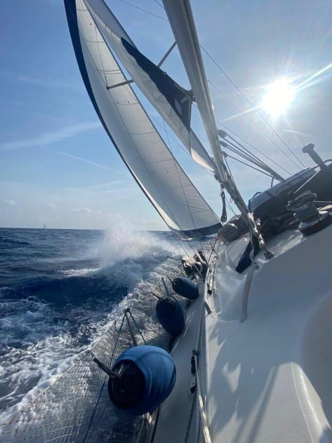 Navegación de regreso...