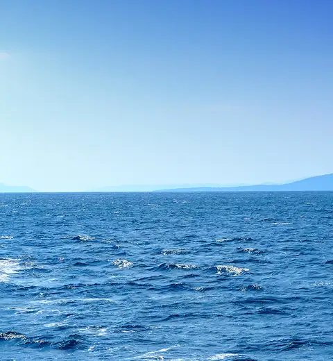 header cover