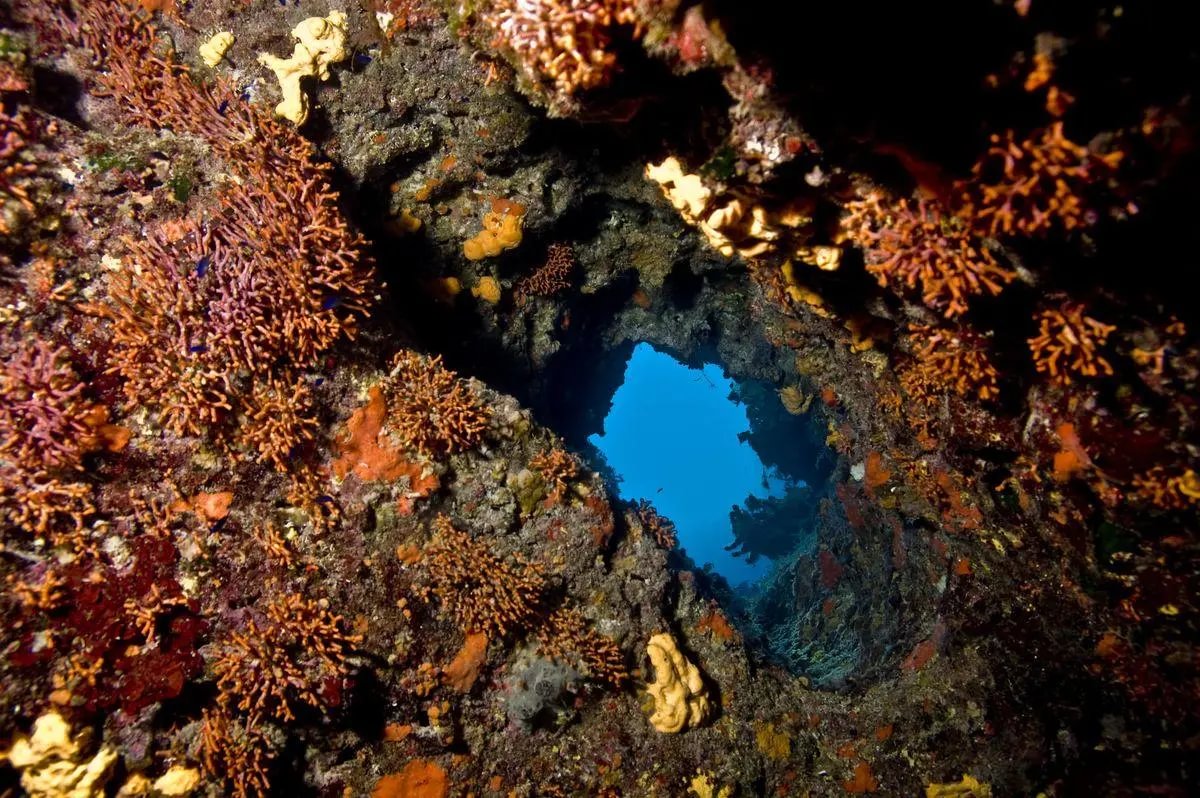 Plongée dans une caverne