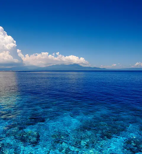 header cover
