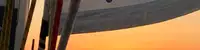 experience image 2