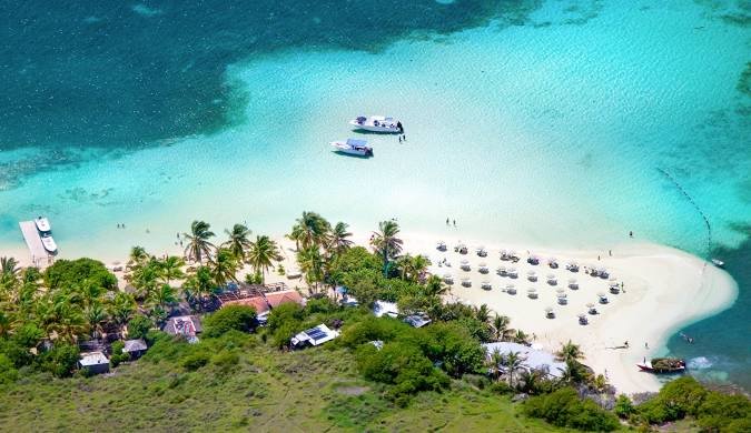 Anguilla Baoia del croco