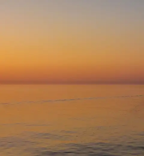 header cover