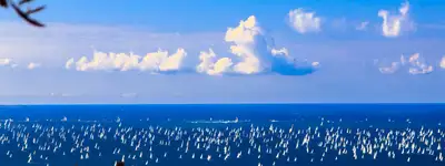 experience image 1