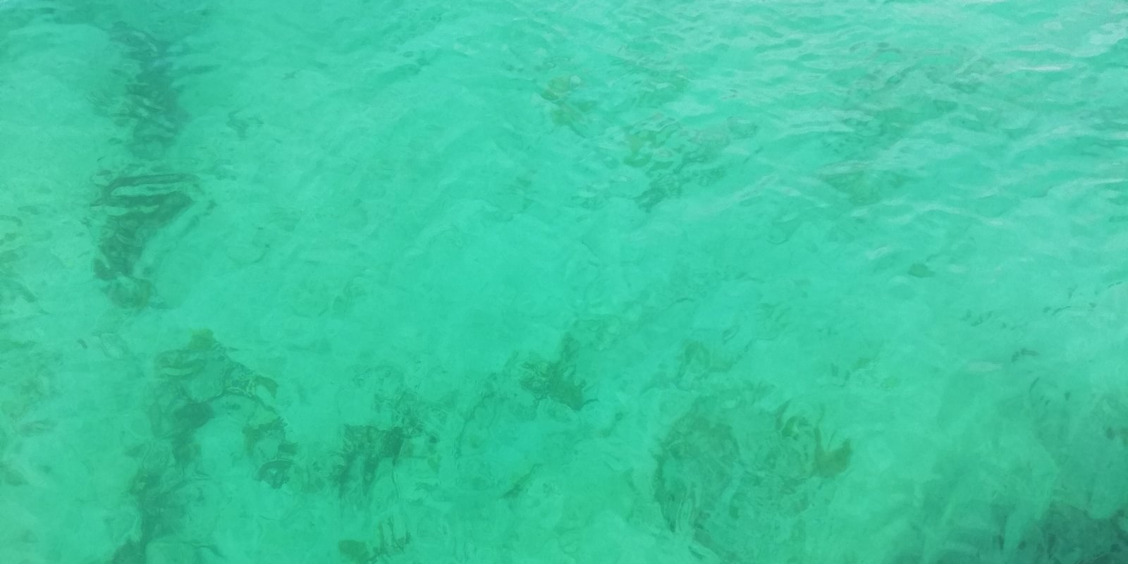 header cover