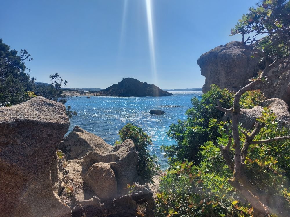 THURSDAY - LAVEZZI, PT VECCHIO