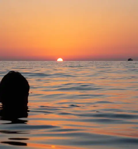 header cover