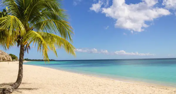 Barbuda, the lost paradise