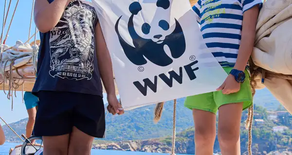 More sensitive and nature-loving