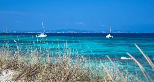 Quando andare — e cosa conviene evitare