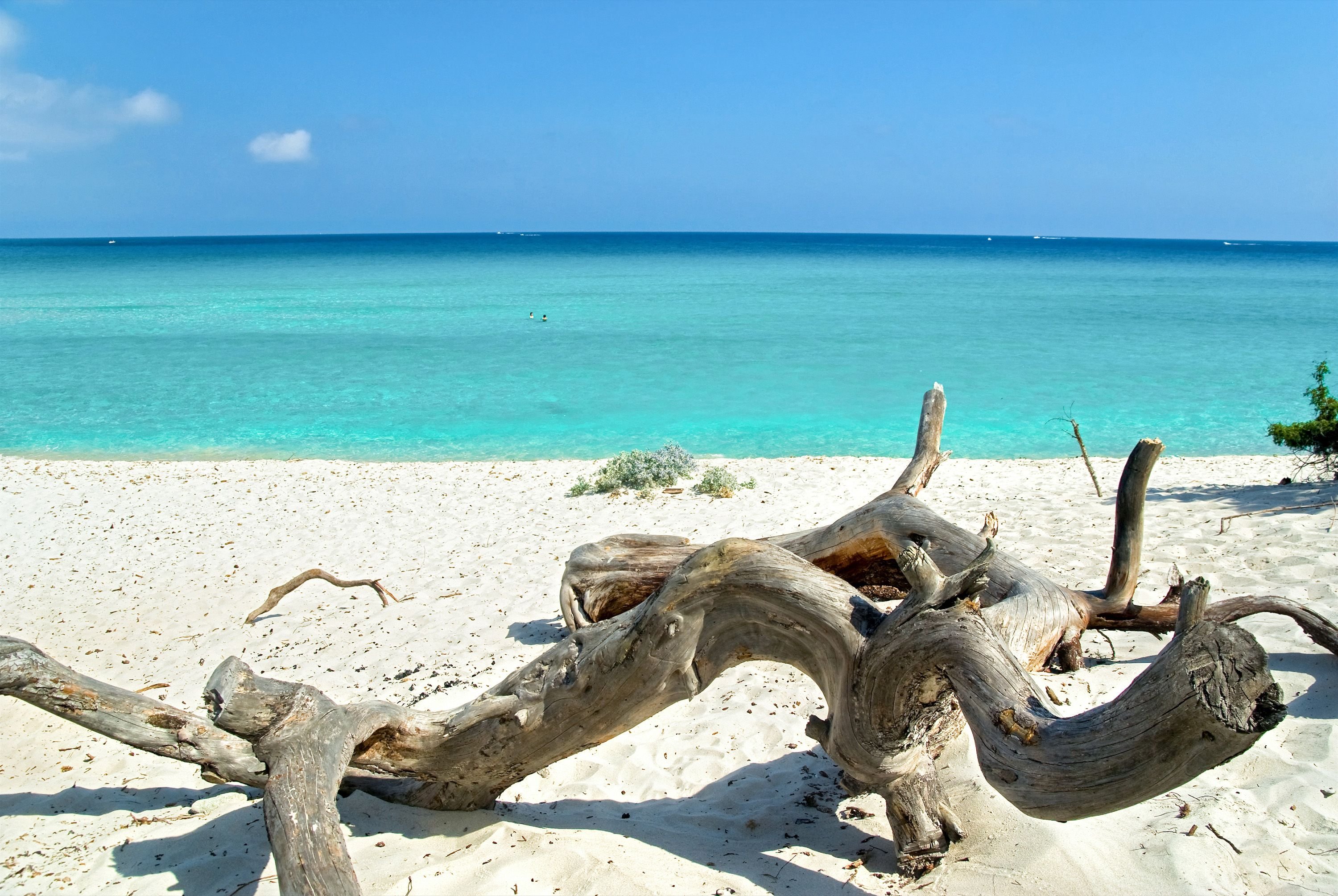 Nord : de Bastia à Calvi