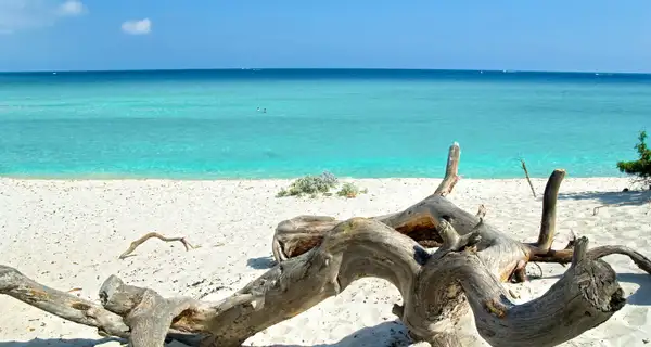 Nord : de Bastia à Calvi