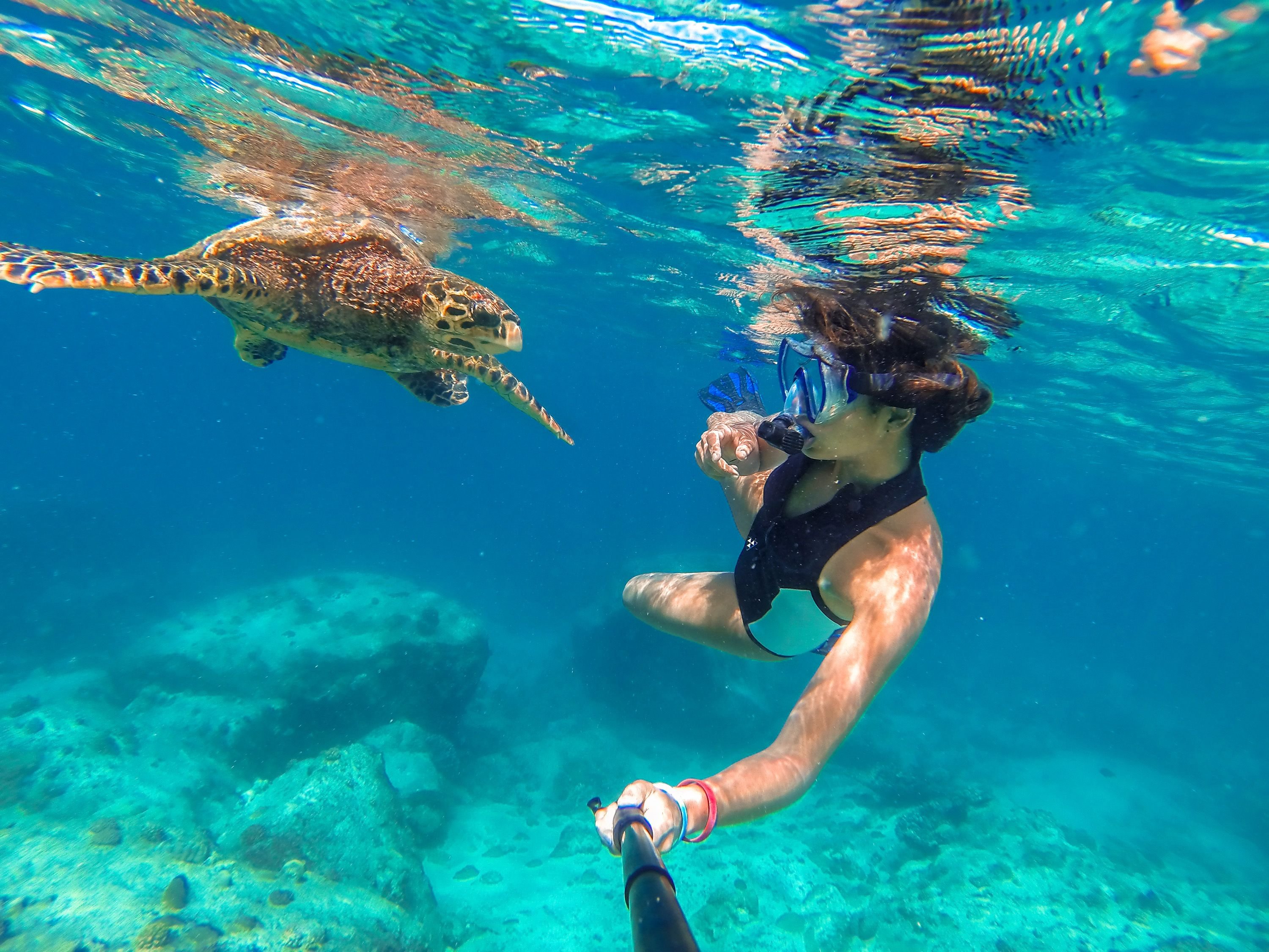 snorkeling-seychelles